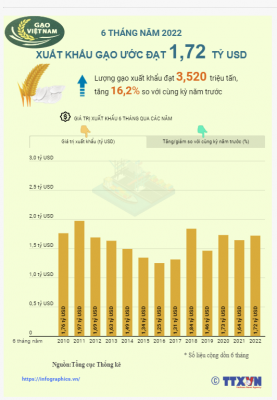 Infographics - gạo xuất khẩu 2022